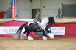 SBM_06188