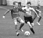 IMG_28031111