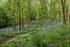 Along the Winding Path