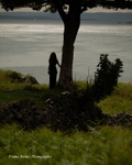 island-130