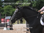 BPP_8504