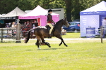 SBM_15786