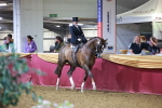 SBM_15913