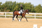 SBM_011456