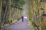 Kielder Ultra-1236