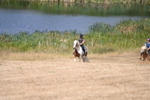 WJ6_9177