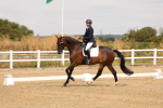 SBM_000334