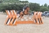 BPP_3129