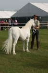 SBM_00582