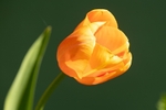 190419-untitled-1L4A0866