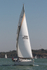 111001 SANDSTORM GBR2168L IMG_1554