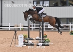 BPP_4498