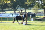 SBM_31785