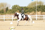 SBM_017466