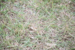 SBM_05708