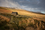 Corrany Sheep Pen