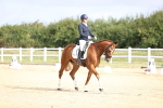 SBM_015333