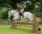 Dunblane show-582