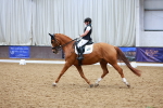 SBM_003662