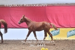 JAC_6445