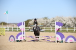 SBM_001031