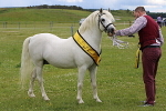 SIAL7954
