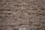 230708A-150344-03214