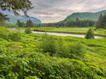 Icy Strait Point-50