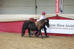 SBM_17423