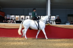 SBM_13848