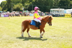 SBM_16845