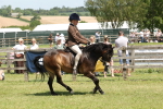 SBM_06828