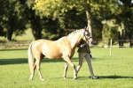 SBM_15839