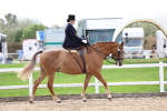 SBM_03379