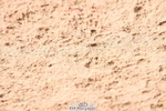 230902A-124726-01115
