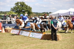 SBM_16682