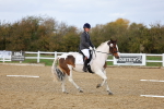 SBM_002636