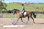 BPP_9550