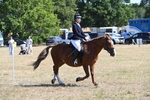 WJ6_8345
