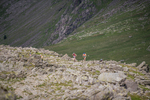 Duddon Long-473