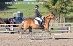 BPP_8995