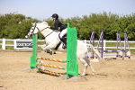 SBM_001181