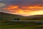 Dales on Fire