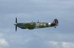 P1010