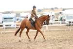 SBM_00651