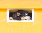 SIESTA - TRINIDAD, CUBA