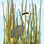 Heron