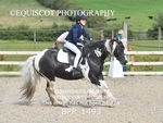BPP_1493