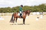 SBM_009816