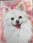 Sophie